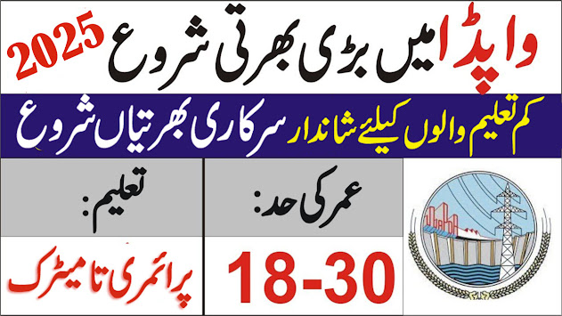 Wapda Class IV Jobs 2025