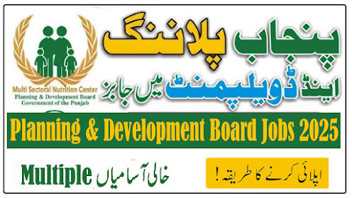 Planning & Development Board Government of Punjab