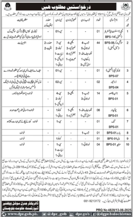 Population Welfare Department Social Worker Jobs 2025