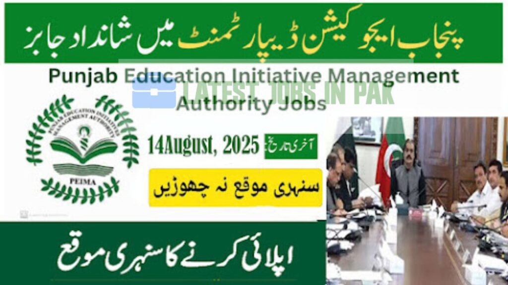Punjab Education Initiative Management Authority Lahore