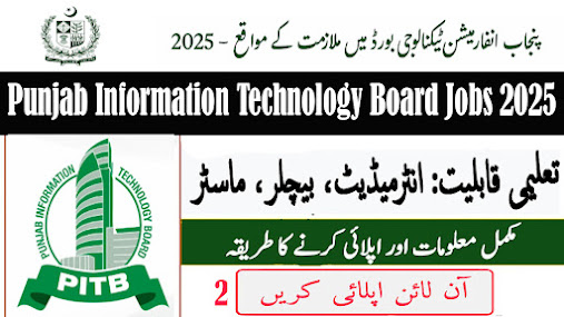 Punjab Information Technology Board Jobs 2025