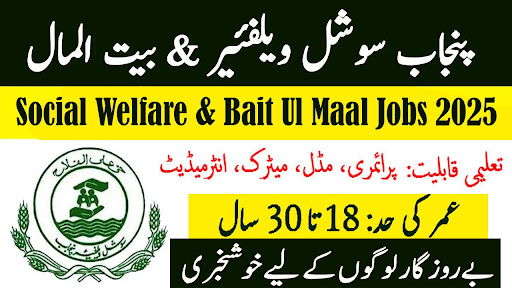 Social Welfare & Bait Ul Maal Jobs 2025