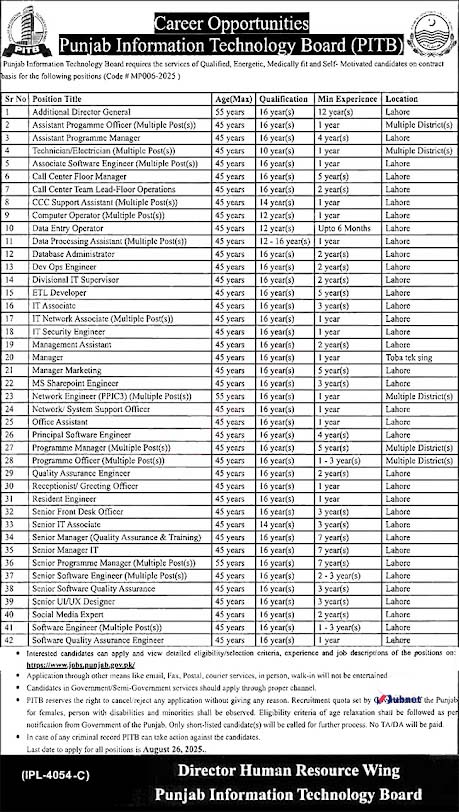 Punjab Information Technology Board Jobs Vacancies 2025