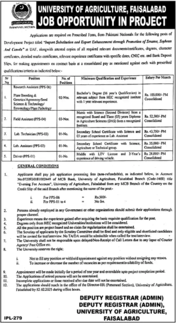 University of Agriculture Faisalabad (UAF) Jobs 2025