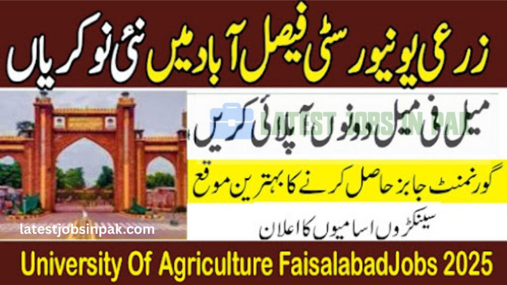 University Of Agriculture UAF Faisalabad Government Lecturer Jobs 2025